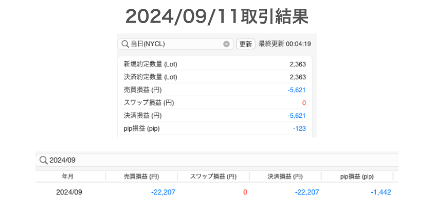 2024年9月11日取引結果