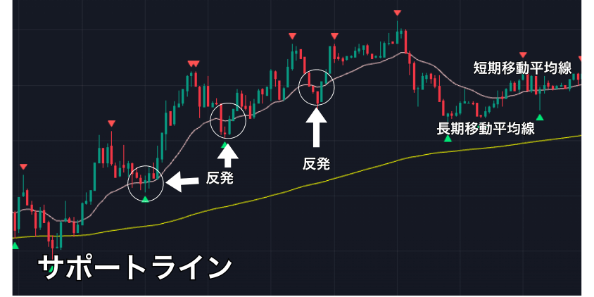 サポートライン